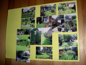 PICT4378